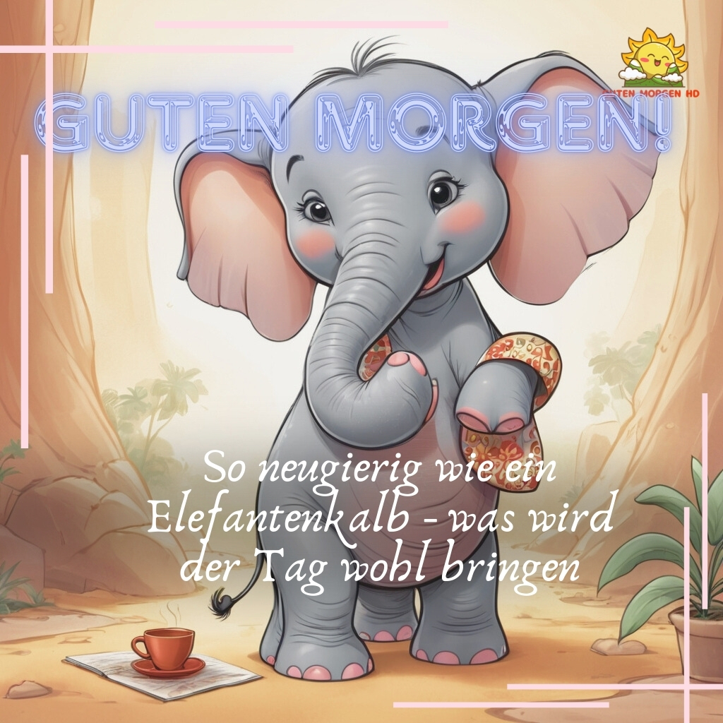 guten morgen bilder elefant neu kostenlos 19