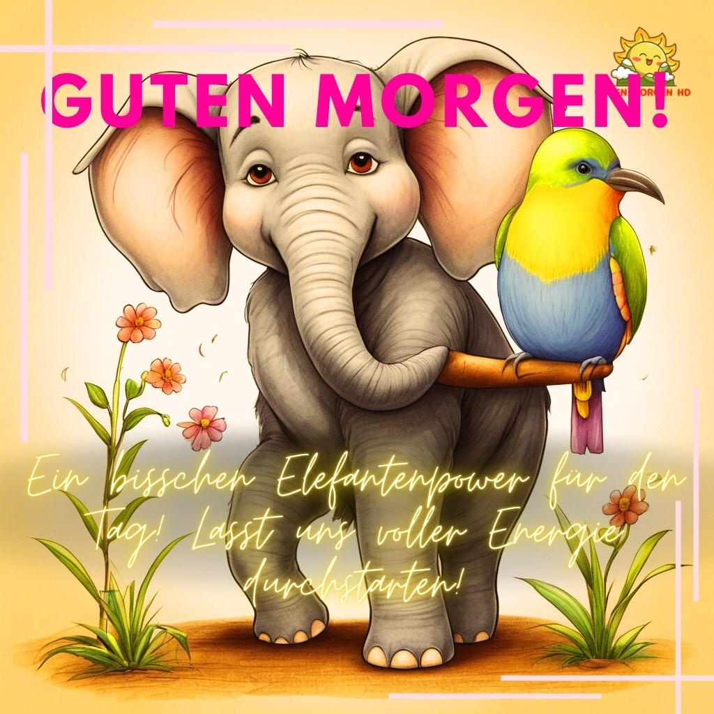 guten morgen bilder elefant neu kostenlos 33