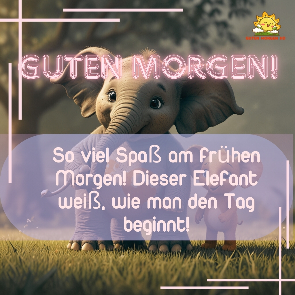 guten morgen bilder elefant neu kostenlos 40