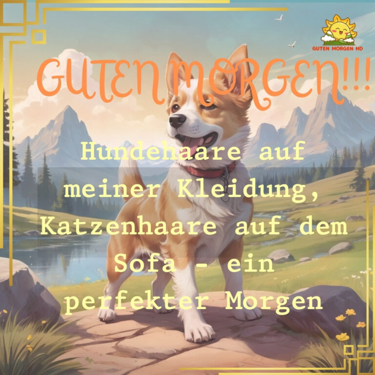 68+ Guten bilder hunde neu kostenlos inspirierende 2024