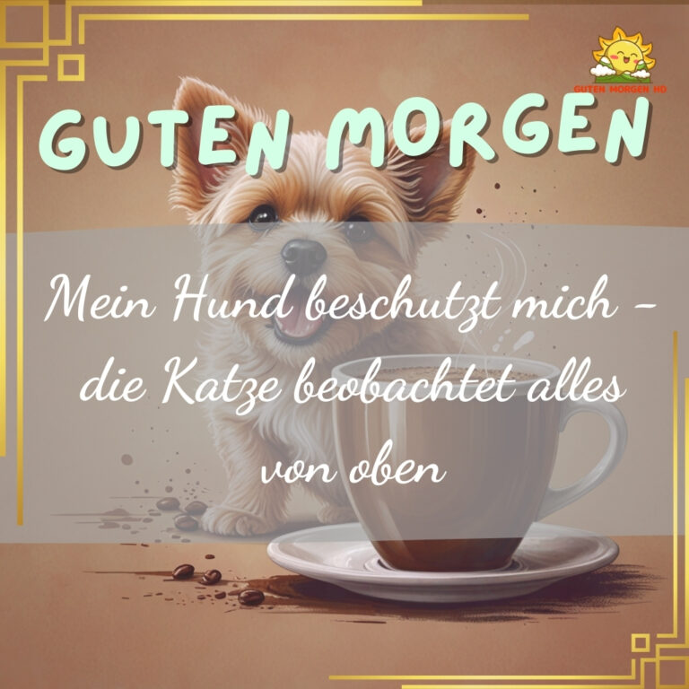 68+ Guten bilder hunde neu kostenlos inspirierende 2024