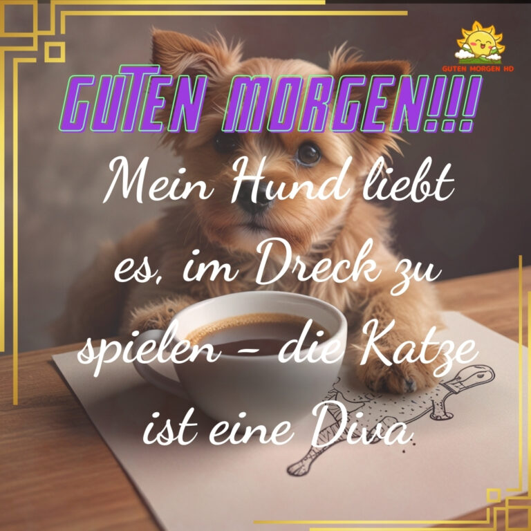 68+ Guten bilder hunde neu kostenlos inspirierende 2024