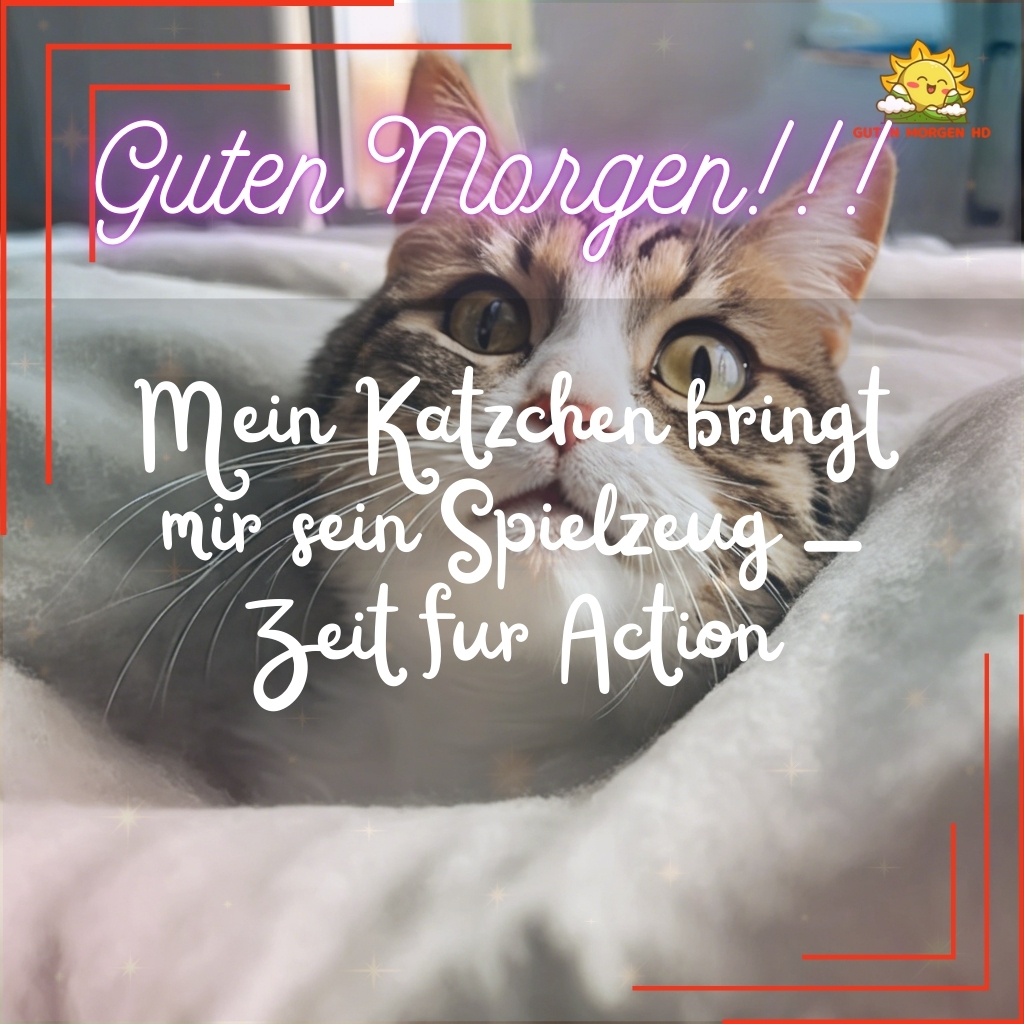 guten morgen bilder katzen neu kostenlos 17