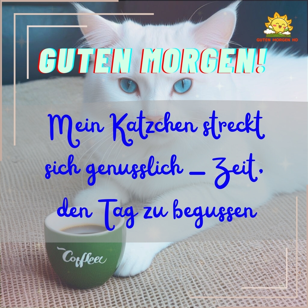 guten morgen bilder katzen neu kostenlos 33