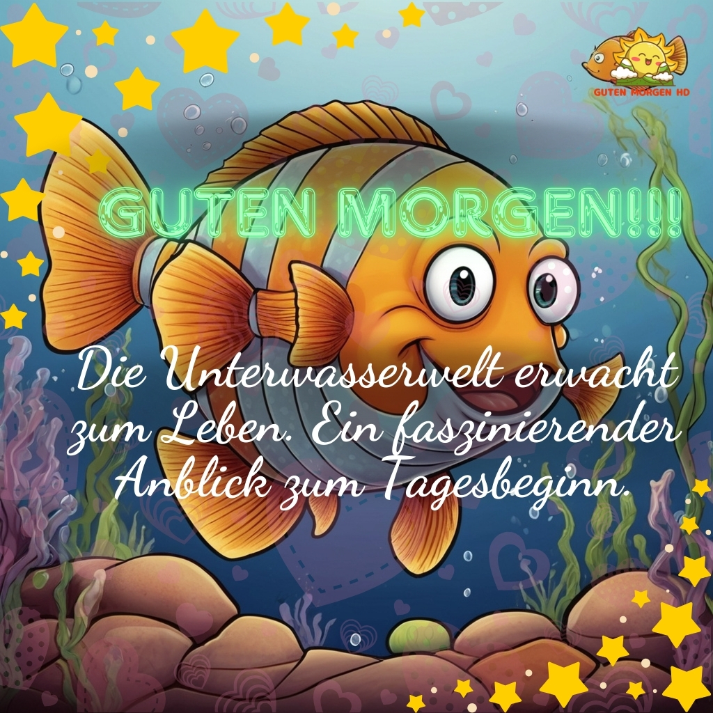 guten morgen bilder fisch neu kostenlos 13