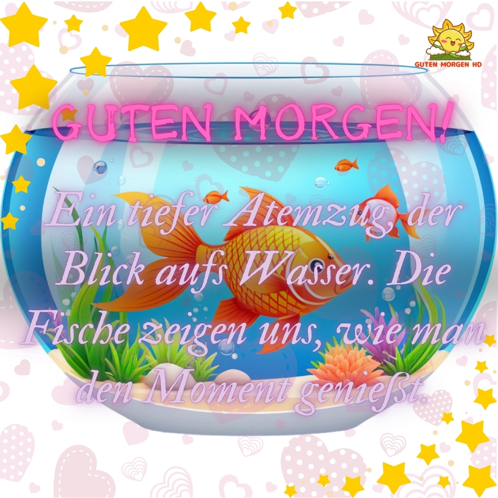 guten morgen bilder fisch neu kostenlos 17