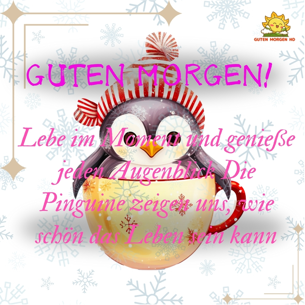 guten morgen bilder pinguin neu kostenlos 17