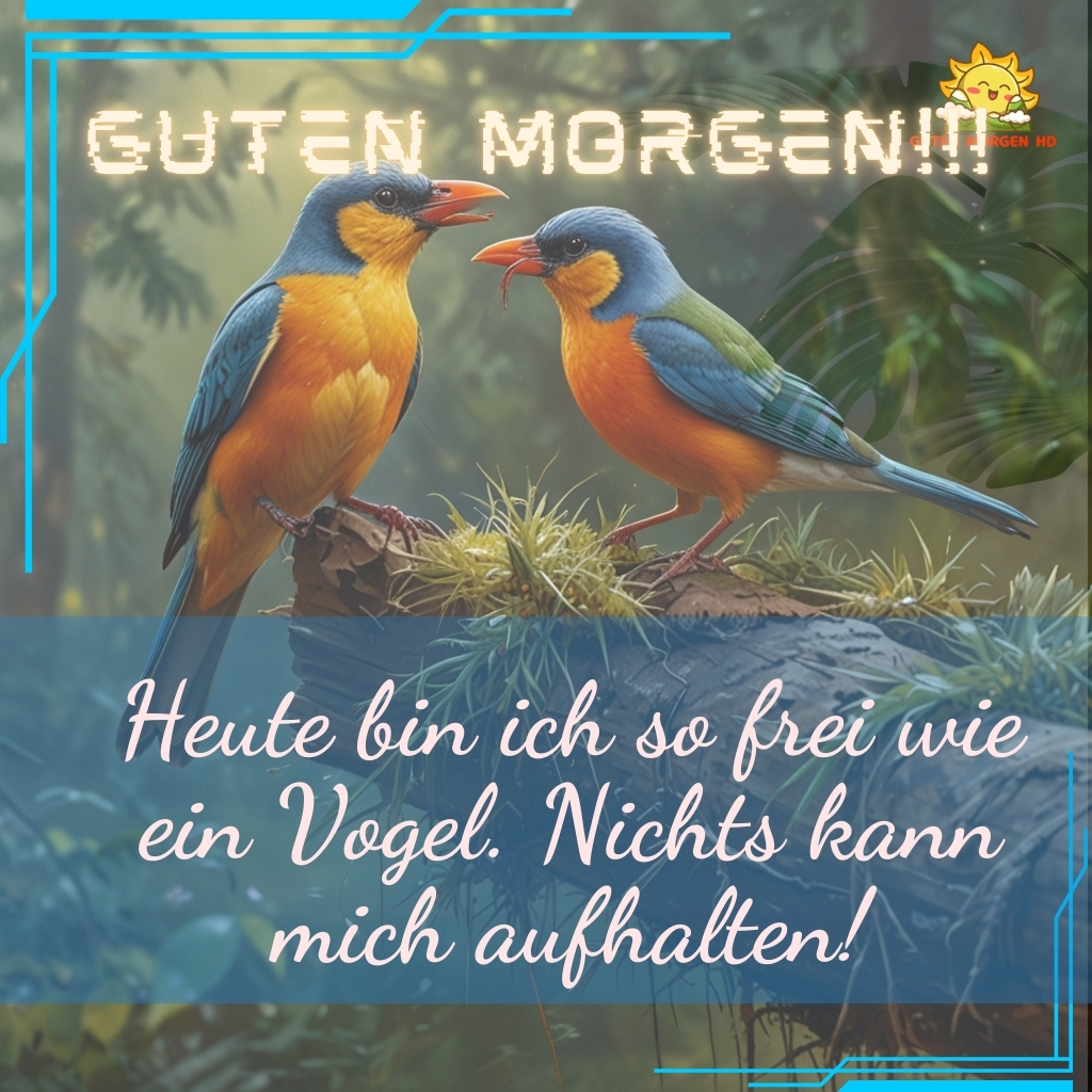 guten morgen bilder vogel neu kostenlos 35