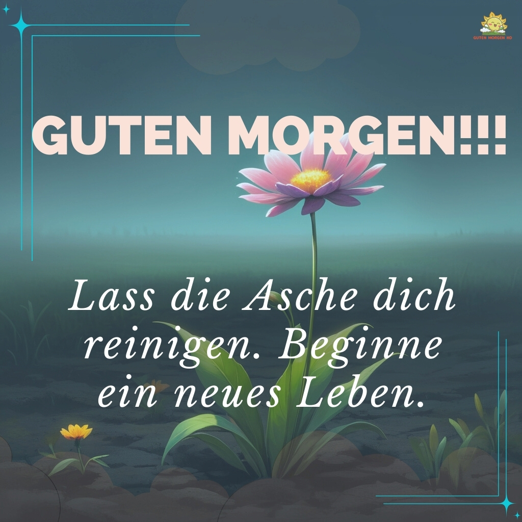 guten morgen aschermittwoch bilder 28