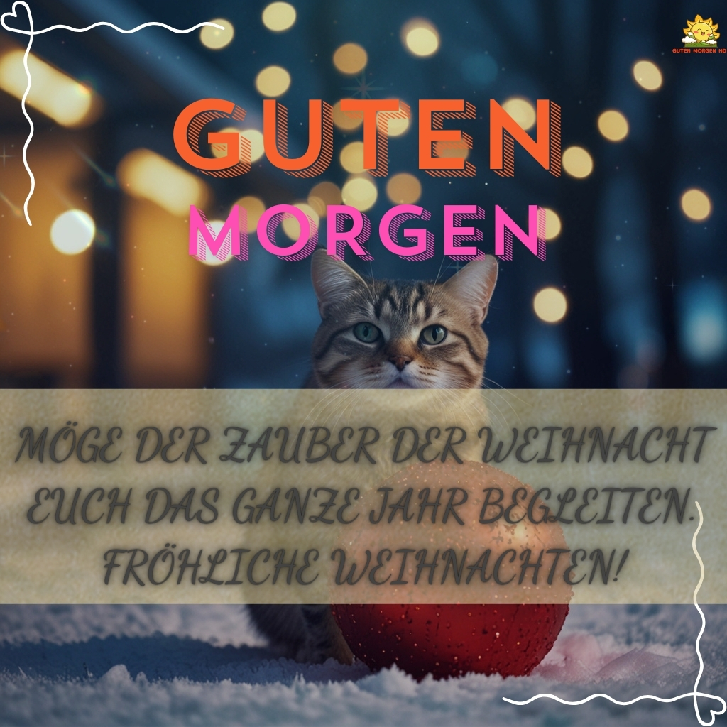 guten morgen silvester bilder 40